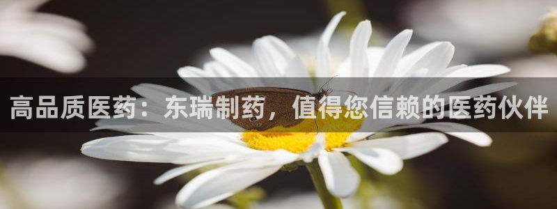 老哥吧九游会下架吗:高品质医药:东瑞制药,值得您信赖的医药伙