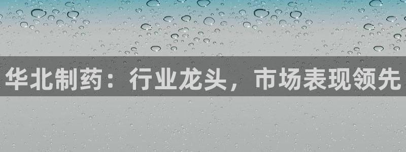 老哥吧九游会下架吗:华北制药:行业龙头,市场表现领先